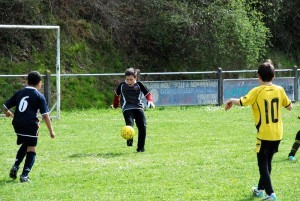 Alban dégage sa défense !